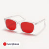 Aurelis Blue Light Glasses